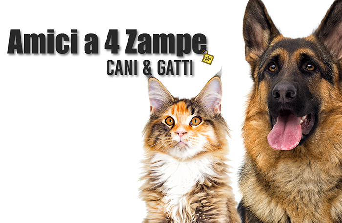 amici-a-4-zampe-Cani-e-gatti-julis-plus